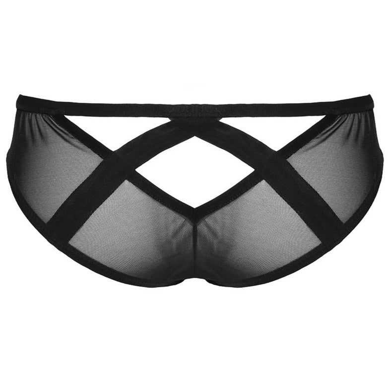 Dazed Brief